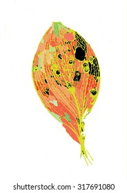 Vector illustration of black, green & red isolated leaf. Graphic, pattern, print, monochromatic, artistic. Rotten, decomposing leaf in autumn woods.