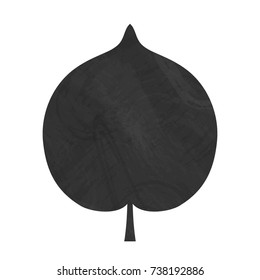 Vector illustration: black grungy contour icon of linden leaf with chalkboard texture isolated on white background