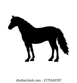 Vector illustration of black horse silhouette isolated on white background