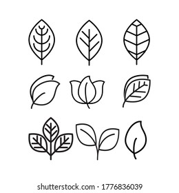 vector illustration of a black leaf in the shape of a line for a plant icon or symbol