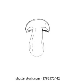 Vector illustration of black line cep mushroom`s half isolated on white background