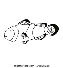 vector illustration black line clown fish on white background