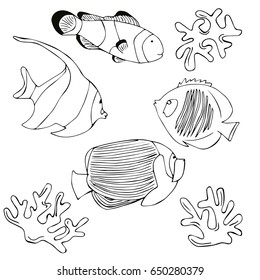 1,054 Clown Fish Line Art Images, Stock Photos & Vectors 