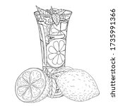 Vector illustration of the black line hand drawn glass of homemade lemonade with lemons isolated on white background