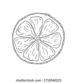 Vector illustration of black line hand drawn citrus slice isolated on white background. Design for citrus juice, natural and organic products packing