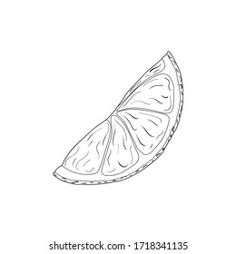 Vector illustration of black line hand drawn citrus slice isolated on white background. Design for citrus juice, natural and organic products packing