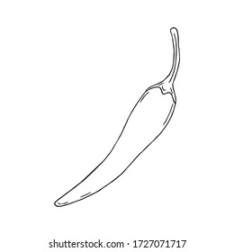 Vector illustration of black line hand drawn thai chili pepper isolated on white background