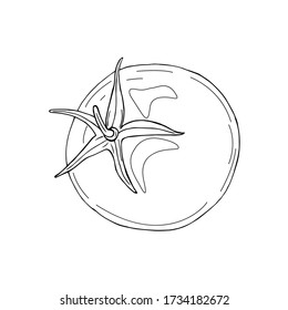 Vector Illustration der schwarzen Linie handgezogenen Tomate isoliert auf weißem Hintergrund