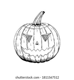 Vector illustration of the black line hand drawn Halloween pumpkin isolated on white background