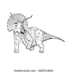 Vector illustration of black line hand drawn triceratops isolated on white background