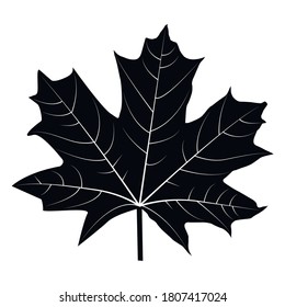 Vector illustration of a black maple leaf on a white background.