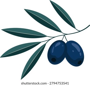 Vector illustration of a black olive branch with ripe olives and olive leaves isolated on a light background. Suitable for culinary graphics, Mediterranean food themes, botanical projects, food packaging, and olive oil branding.