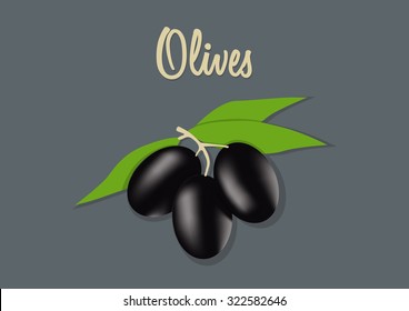 vector illustration of black olives