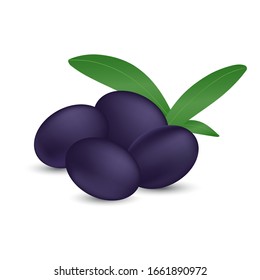 Vector illustration of black olives with green leaves on a white background. Design element for print and web.