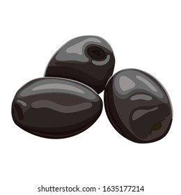 Vector illustration of black olives isolated on white background. Design for olive, natural and organic products