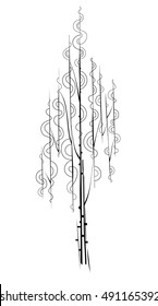 Vector illustration black on the white birch tree 