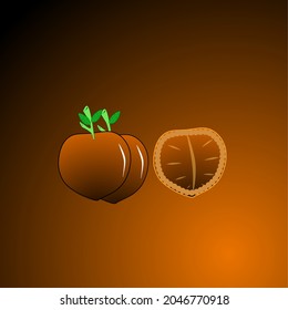 vector illustration of black orange tomato fruit like halloween pumpkin fruit