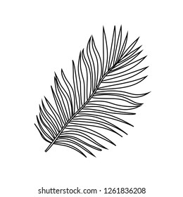 Vector Illustration Black Outline Tropical Exotic Stock Vector Royalty Free