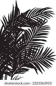 Vector illustration with Black Palm branches and leaves.