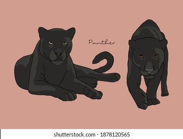 Vector Illustration of Black Panther