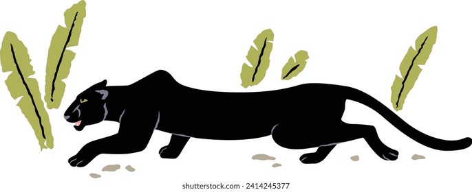 Vector illustration of a black panther sneaking, hunting in the tropical forest isolated on white background