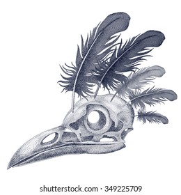 Vector illustration of black raven skull and feathers isolated on white background. Designed for printing on clothing, accessories, bags, scarves.