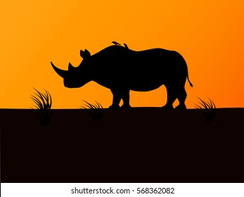 Vector illustration of a black rhino silhouette against a background sunset. Rhinoceros side view.