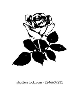 vector illustration of a black rose