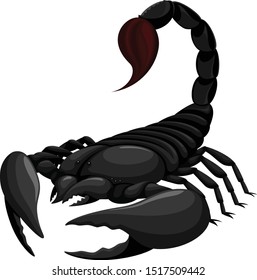 Vector illustration of a black scorpion.