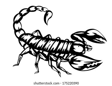Vector illustration of black scorpion