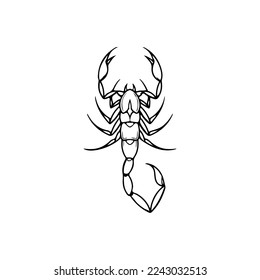 vector illustration of a black scorpion