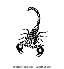  vector illustration of a black scorpion