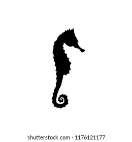 Vector illustration of black seahorse silhouette. Hand drawing seahorse silhouette