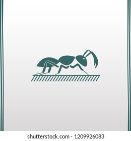 Vector illustration of a black silhouette ant. Isolated grey background. Icon insect ant side view profile.