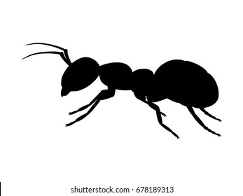 Vector illustration of a black silhouette ant. Isolated white background. Icon insect ant side view profile.