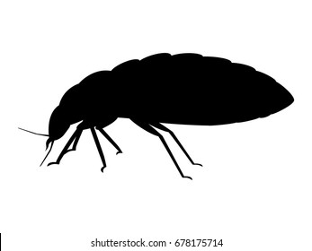 Vector Illustration Of A Black Silhouette Bedbug. Isolated White Background. Icon Bug Side View Profile.