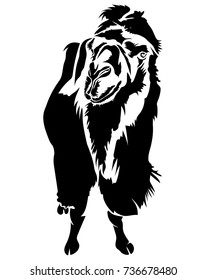 Vector illustration of black silhouette camel on white background.