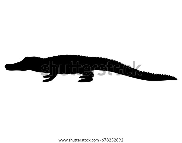 ベクターイラスト黒いシルエットワニ 白い背景 アイコン動物のワニの側面図のプロファイル のベクター画像素材 ロイヤリティフリー