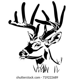 Vector illustration of a black silhouette deer head. Element for design.