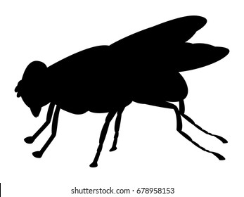Vector illustration of a black silhouette fly insect. Isolated white background. Icon fly side view profile.