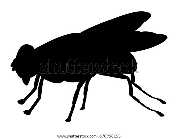 Vector Illustration Black Silhouette Fly Insect Stock Vector (Royalty ...