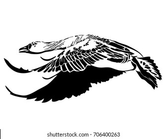 Vector illustration of black silhouette flying goose on white background. Element for design.