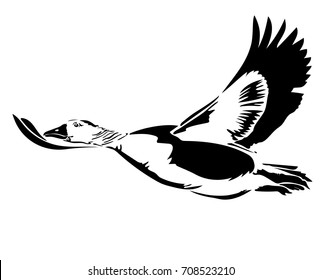 Vector illustration of black silhouette flying goose on white background. Element for design.