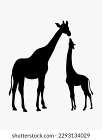 Vector illustration black silhouette of giraffes on a white background