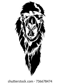Vector illustration of black silhouette head of the camel on white background.