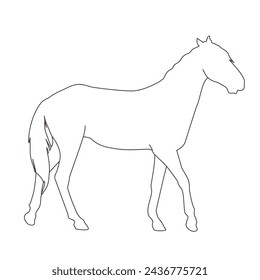 vector illustration of a black silhouette of a horse isolated on a white background. The theme of equestrian sports, animal husbandry and veterinary medicine

