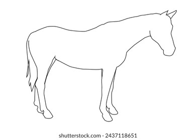 vector illustration of a black silhouette of a horse isolated on a white background. The theme of equestrian sports, animal husbandry and veterinary medicine
