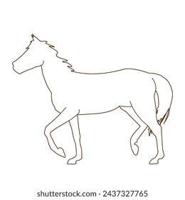 vector illustration of a black silhouette of a horse isolated on a white background. The theme of equestrian sports, animal husbandry and veterinary medicine
