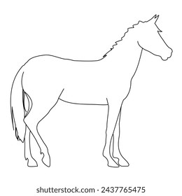 vector illustration of a black silhouette of a horse isolated on a white background. The theme of equestrian sports, animal husbandry and veterinary medicine
