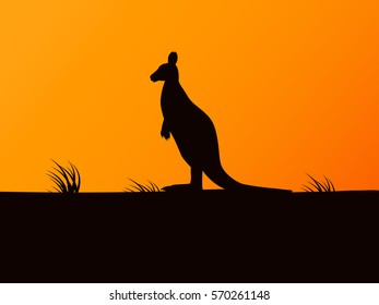 Vector illustration of black silhouette kangaroo on the background of sunset. 